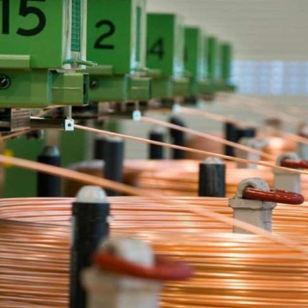 Control Acquisition Opportunity in a Vertically Integrated Sri Lankan Cable Manufacturing Leader